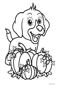 110 Pumpkin Coloring Pages: Free PDF coloring Sheets