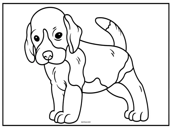beagle coloring page, rayfelk, beagle picture
