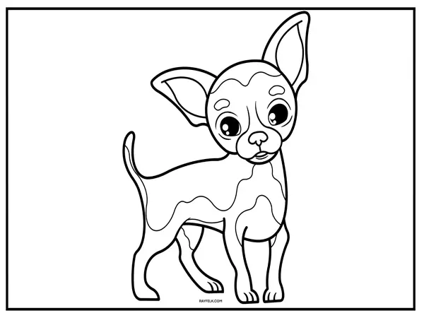 Chihuahua Coloring Page, rayfelk, chihuahua picture to color