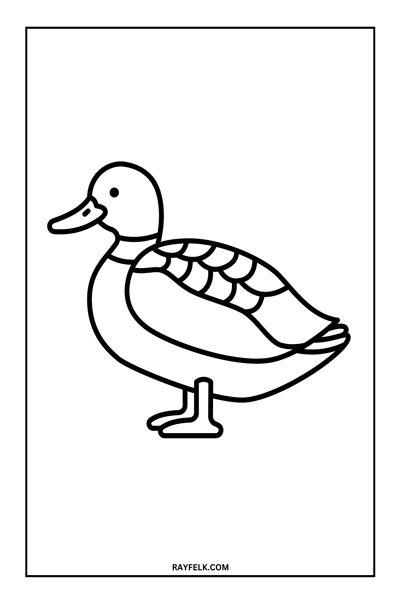 duck coloring pages, rayfelk