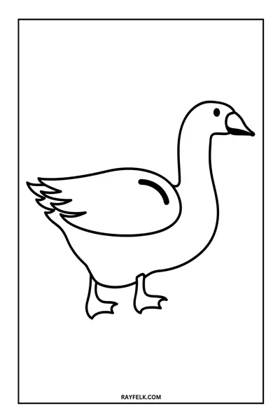 free duck coloring sheets, rayfelk