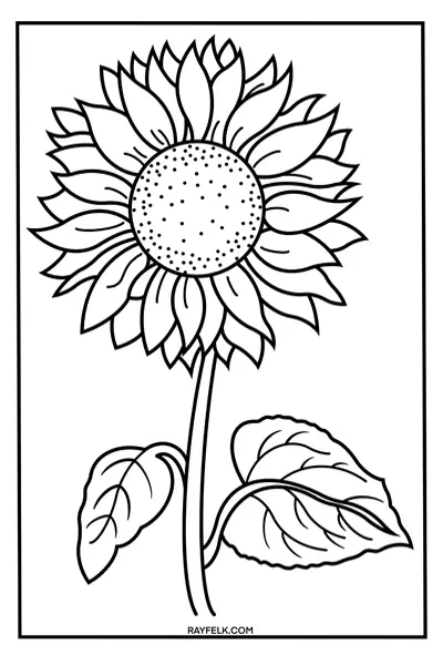 flower coloring pages, sunflower coloring page, free flower coloring sheets, rayfelk