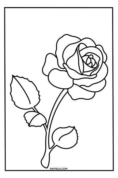 rose coloring page, f,rayfelk, free flower pictures to color