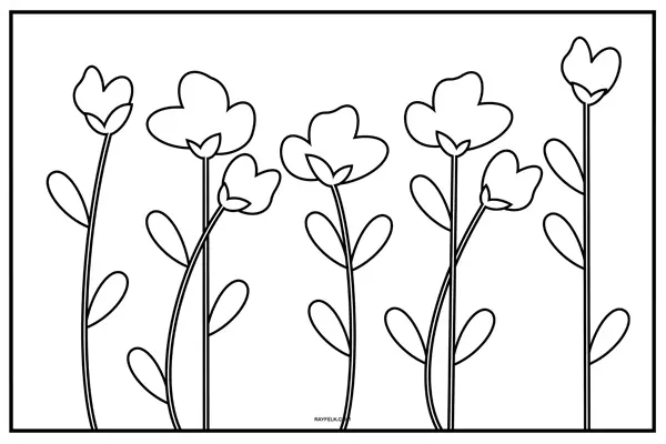 flower for coloring, free flower coloring sheets, rayfelk