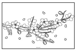 Flower Coloring Pages