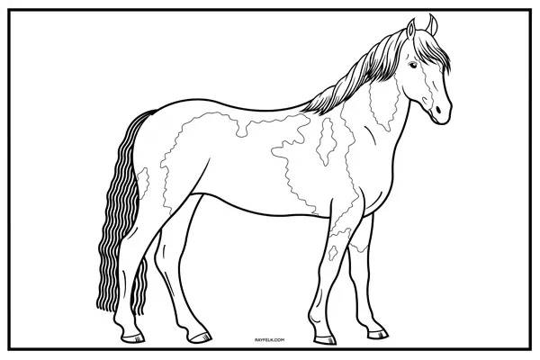 Realistic Horse Coloring Pages, Rayfelk